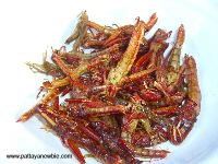 Thailand food- insects